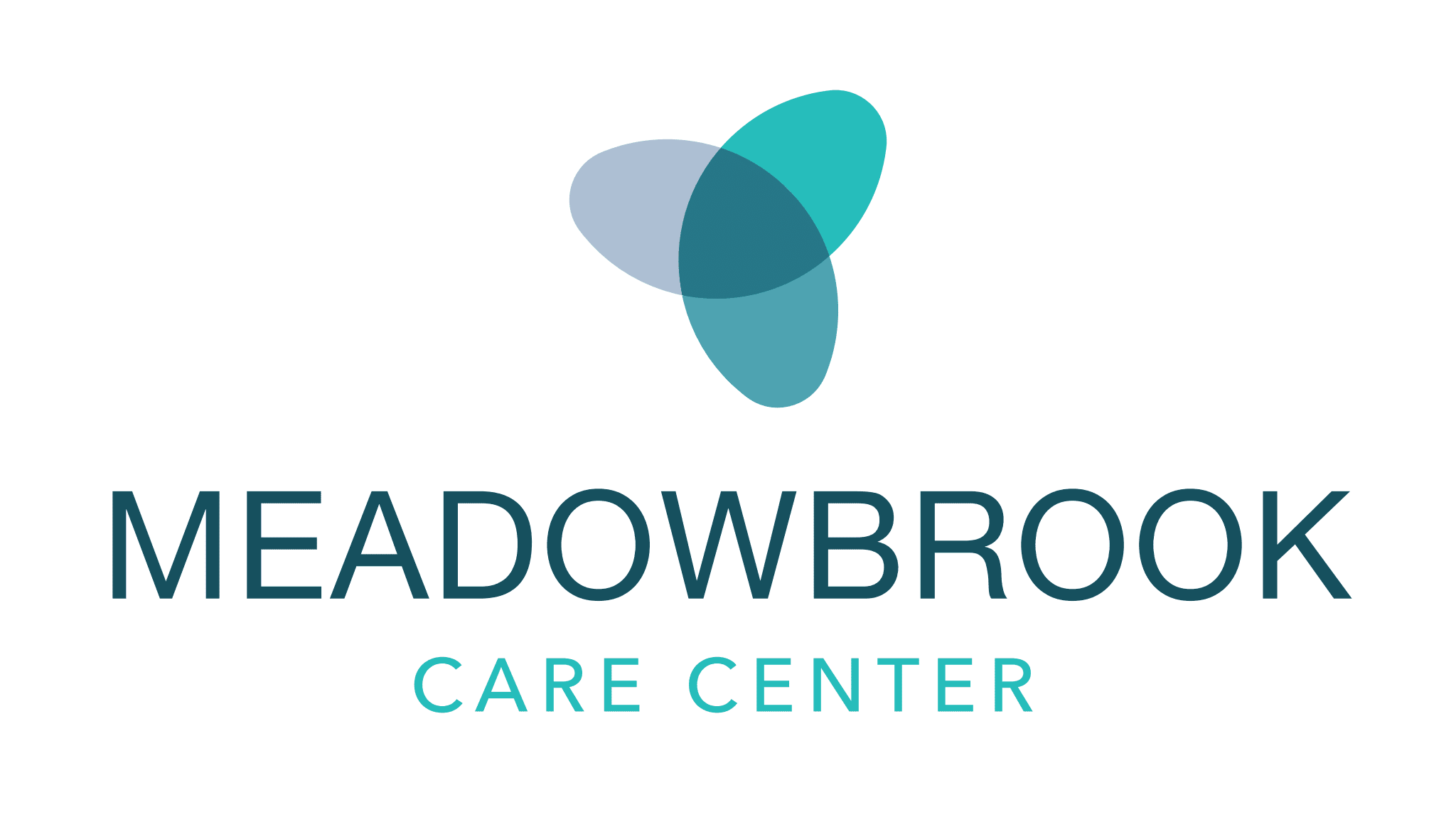 https://www.sycamoreyouthcheer.org/wp-content/uploads/sites/183/2024/09/meadowbrook-logo.png
